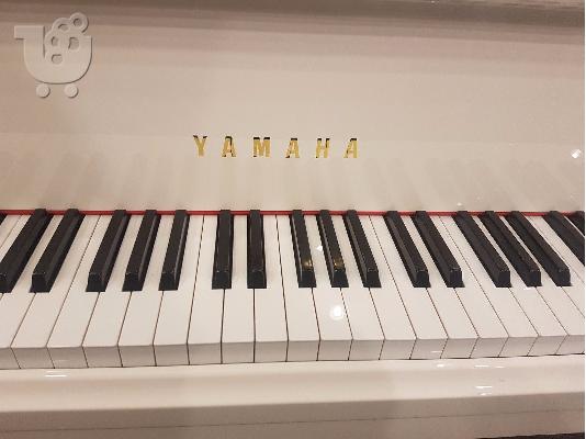 PoulaTo: Πληκτρολόγιο πληκτρολογίου Roland Fantom-X7 συνθεσάιζερ 76