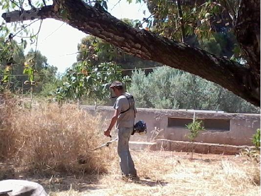 PoulaTo: Αποψιλωσεις Εξοχικων Καθαρισμός οικοπέδων και άλλων εκτάσεων