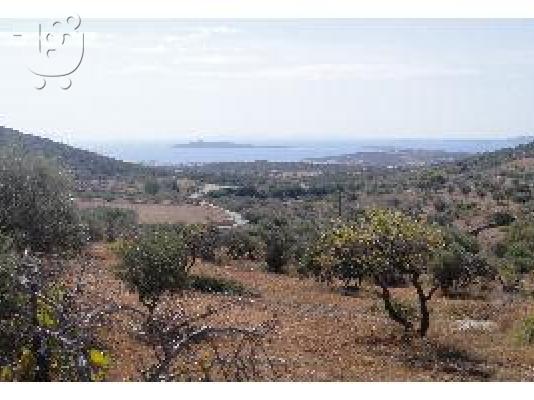 οικοπεδο με πανοραμικη θεα εντος σχεδιου στο καμαρι ...