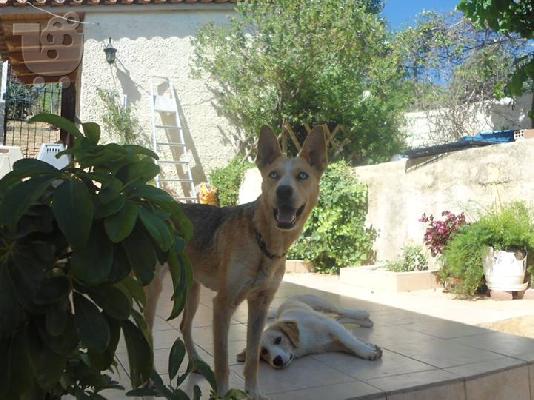 ΣΤΟΡΜ ΠΡΟΣ ΥΙΟΘΕΣΙΑ~ΑΡ ΠΡΩΤ:4247/02