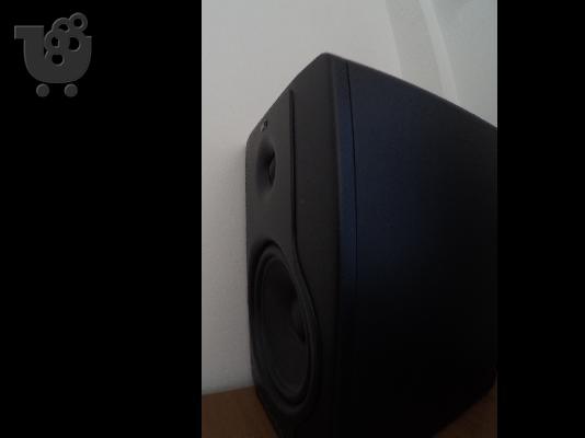 PoulaTo: BX8-d2 Monitors