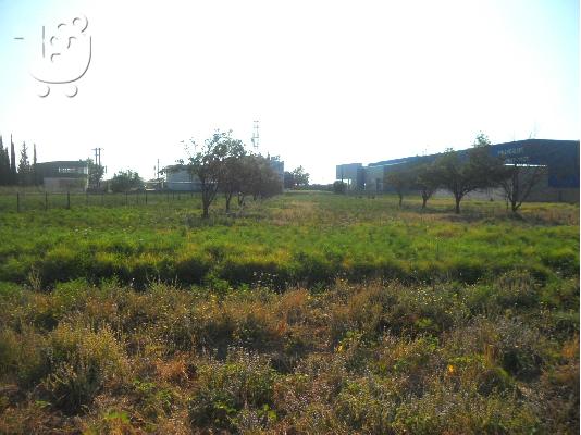 ΟΙΚΟΠΕΔΟ 4.600τ.μ.