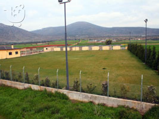 DOGVILLE  ΦΥΛΑΞΗ ΣΚΥΛΩΝ ΚΑΙ ΜΙΚΡΩΝ ΖΩΩΝ,ΠΡΟΓΡΑΜΜΑΤΑ ΕΚΠΑΙΔΕΥΣΗΣ  ΣΚΥΛΩΝ,  , ΜΕΤΑΦΟΡΑ ΣΚΥΛΩ...