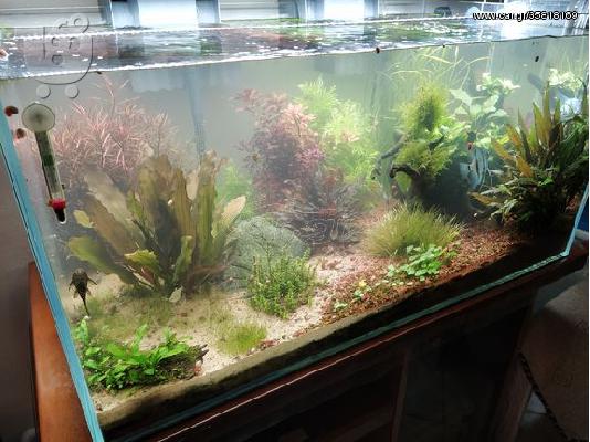 ΠΩΛΕΙΤΑΙ ΚΑΙΝΟΥΡΙΟ ΕΝΥΔΡΕΙΟ EHEIM EXTRA CLEAR TANK 200
