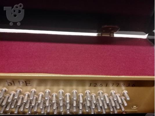 YAMAHA B1 ΑΝΑΖΗΤΑ ΝΕΑ ΚΑΤΟΙΚΙΑ