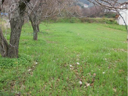 Πωλείται γωνιακό οικόπεδο