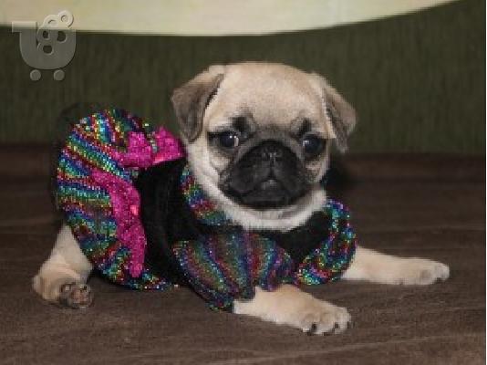 PoulaTo: MOPS
