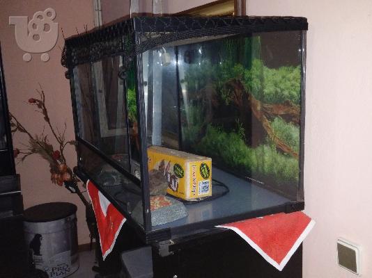 terrarium guala gia iguana 150 litron PROSFORA