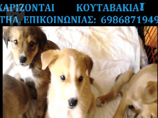 PoulaTo: ΧΑΡΊΖΟΝΤΑΙ!!!
