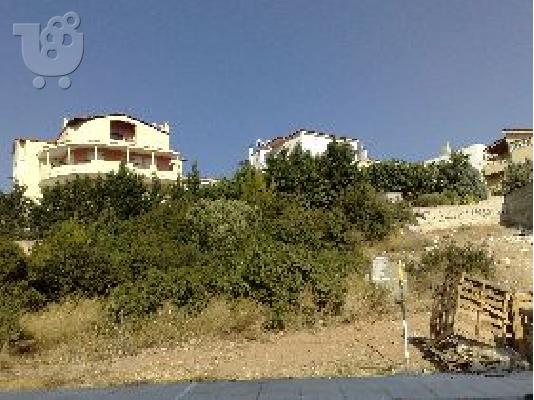 Πανόραμα Παλλήνης - Πωλείται οικόπεδο - Τιμή χαμηλή...