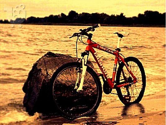 Bike Bianchi 4600 kuma(orange)