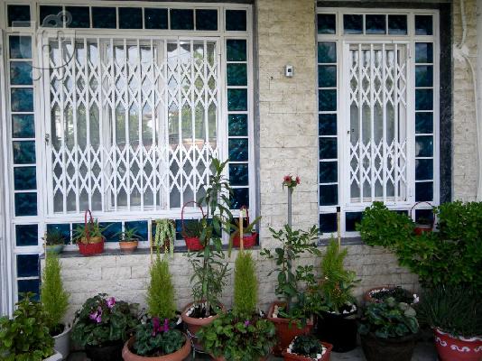 ΠΤΥΣΣΟΜΕΝΑ ΚΑΓΚΕΛΑ ΑΣΦΑΛΕΙΑΣ ΜΕΓΑΛΗ ΠΡΟΣΦΟΡΑ