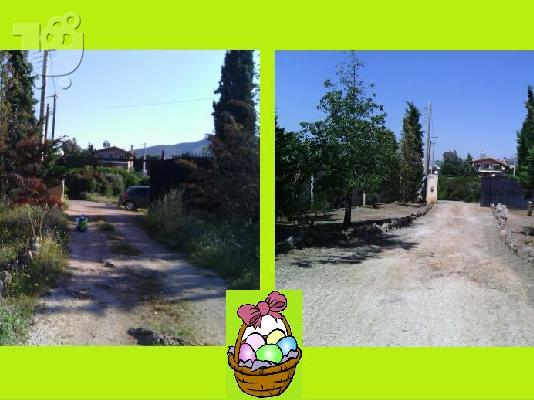 Αποψιλωσεις Καθαρισμός οικοπέδων Εξοχικών