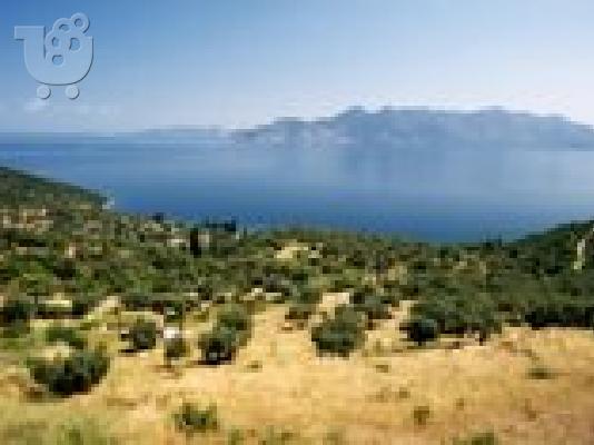PoulaTo: ΠΟΡΟΣ ΟΙΚΟΠΕΔΟ 8500τμ 