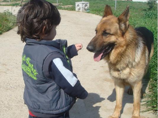 ΚΟΥΤΑΒΙΑ ΓΕΡΜΑΝΙΚΑ ΠΟΙΜΕΝΙΚΑ ΚΑΘΑΡΟΑΙΜΑ
