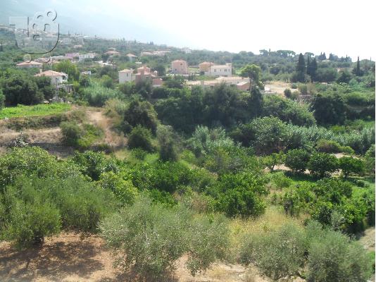 πωλειται οικοπεδο στην κεφαλονια