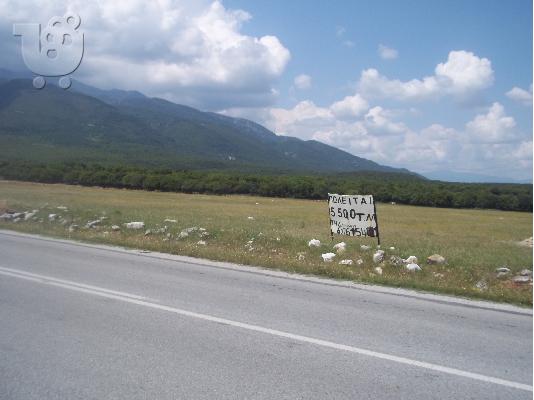 ΠΩΛΕΙΤΑΙ Αγροτική έκταση 5.500 μ.