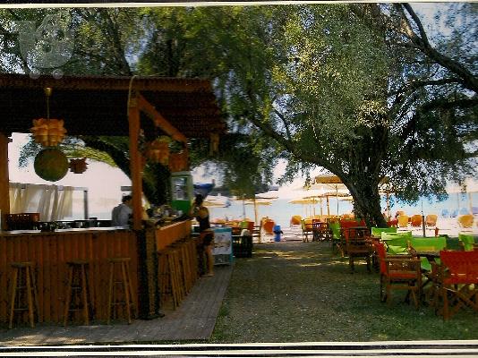 PoulaTo: ΕΥΚΑΙΡΙΑ!!! ΠΩΛΕΙΤΑΙ ΜΠΟΥΓΑΤΣΑ ΚΑΙ BEACH-BAR ΣΤΗ ΧΑΛΚΙΔΙΚΗ
