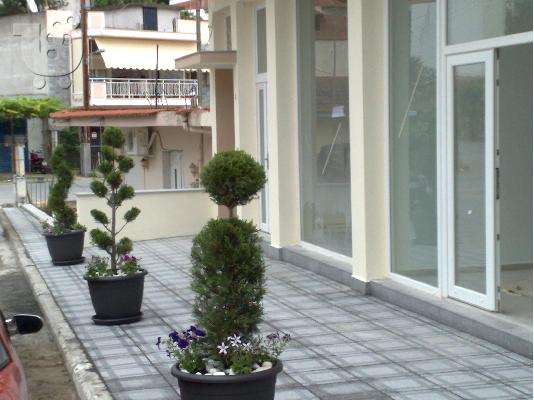 Diamerisma sta Giannitsa