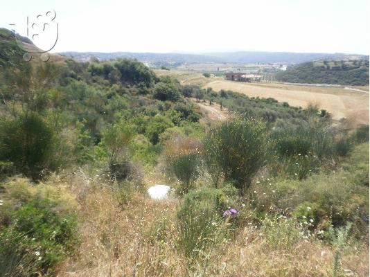Έπιπλα κήπου Ίλιον Σαλόνια κήπου Ίλιον Τραπέζια κήπου Ίλιον Έπιπλα εξωτερικού χώρου Ίλιον ...