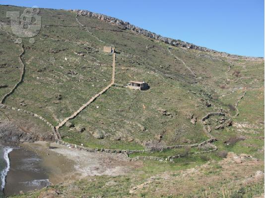 ΚΥΘΝΟΣ 12 ΣΤΡ ΠΑΡΑΘΑΛΑΣΣΙΟ