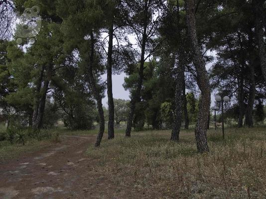 PoulaTo: ΠΩΛΗΣΗ ΟΙΚΟΠΕΔΟΥ ΚΑΙ ΠΑΡΑΘΑΛΑΣΣΙΑΣ ΚΑΤΟΙΚΙΑΣ