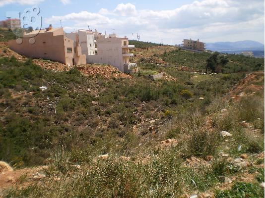 Πικέρμι, Άγιος Σπυρίδωνας, οικόπεδο, 80.000€