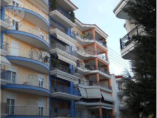 PoulaTo: ΠΤΟΛΕΜΑΙΔΑ ΔΙΑΜΕΡΙΣΜΑ