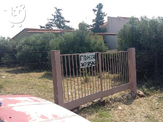 Οικόπεδο εντός σχεδίου Τρίγλια Χαλκιδικής 510τ.μ!