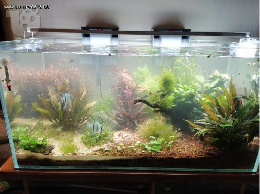 ΠΩΛΕΙΤΑΙ ΚΑΙΝΟΥΡΙΟ ΕΝΥΔΡΕΙΟ EHEIM EXTRA CLEAR TANK 200