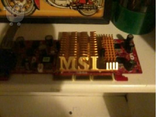 FX 5500 AGP msi