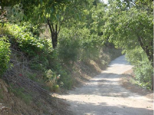 PLOT IN PELLINI-XYLOKASTRO-PELOPONNESE KFKM7560XY1
