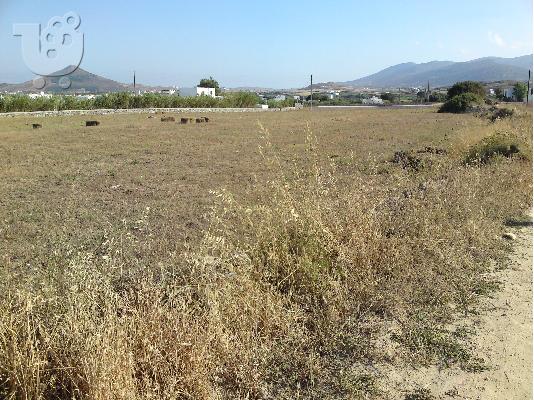 PoulaTo: παρος,παραλια ιστερνι,