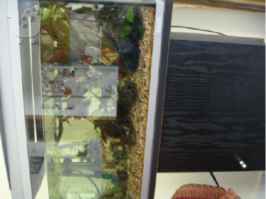 PoulaTo: Ενυδρειο tetra 60lit με βαση ντουλαπι κομπλε