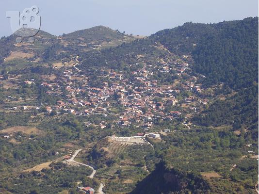 ΑΚΙΝΗΤΟ 35 ΣΤΡΕΜΜΑΤΑ