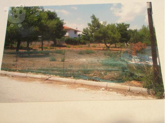 PoulaTo: Πωλείται Οικόπεδο