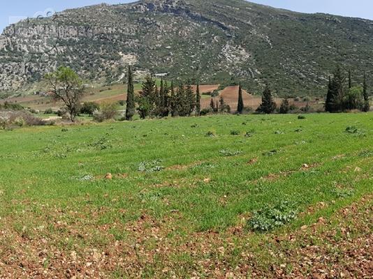 PoulaTo: ΠΩΛΗΣΗ ΟΙΚΟΠΕΔΟΥ
