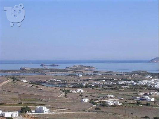 ΠΩΛΕΙΤΑΙ ΟΙΚΟΠΕΔΟ 4,5 στρ. ΣΤΗΝ ΑΝΤΙΠΑΡΟ