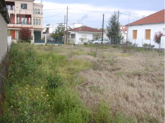 ΙΣΤΙΑΙΑ ΟΙΚΟΠΕΔΟ 
