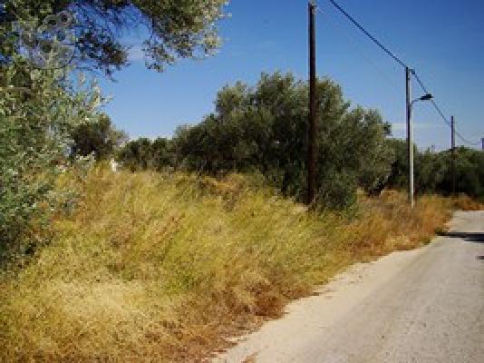 Γωνιακό οικόπεδο σε όμορφη περιοχή κοντά στην Αθήνα...