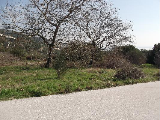 πωληση αγροτεμαχιου