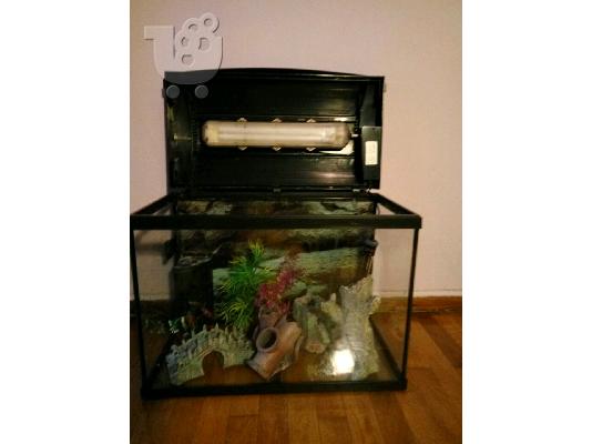 Ενυδρείο HAILEA AQUARIUM 60LT