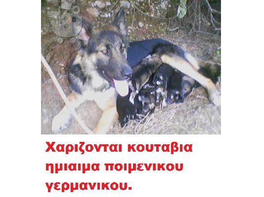 PoulaTo: ΧΑΡΙΖΟΝΤΑΙ