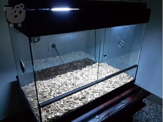 PoulaTo: Πωλείται ενυδρείο ερπετών (terrarium)