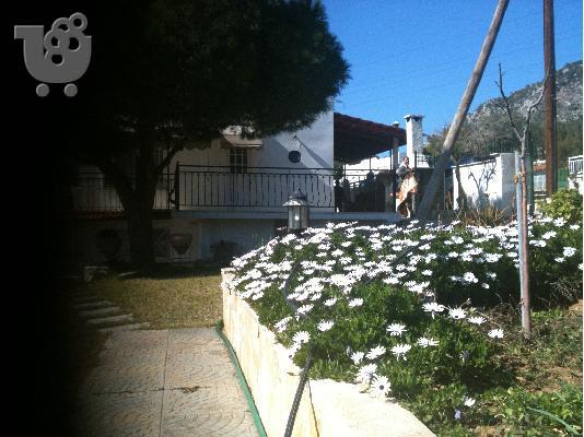 Εξαιρετική Μονοκατοικία εντός αγροτεμαχίου 1120τμ 150000 €...