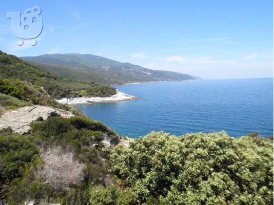 PoulaTo: ΠΩΛΕΙΤΑΙ ΣΤΟ ΠΗΛΙΟ ΟΙΚΟΠΕΔΟ 10 ΣΤΡΕΜΜΑΤΑ