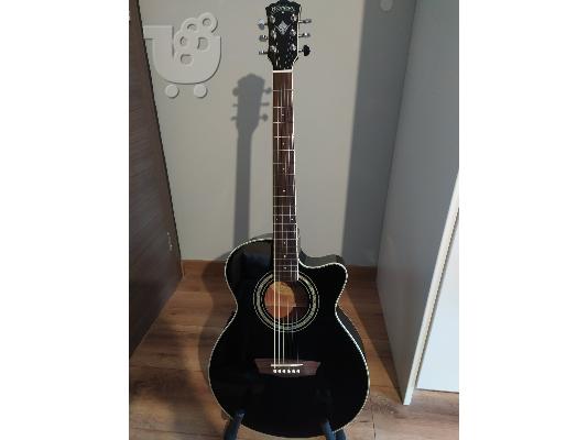 PoulaTo: Washburn EA 120 B