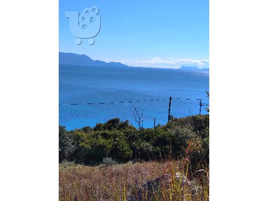 Πωλείται οικόπεδο-αγροτεμαχιο στην Παλαιρο Αιτωλοακαρνανίας...