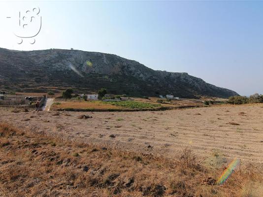 Αγροτεμαχιο  Εμπορειο Σαντορινης  Θεση Κιντουγκλας...