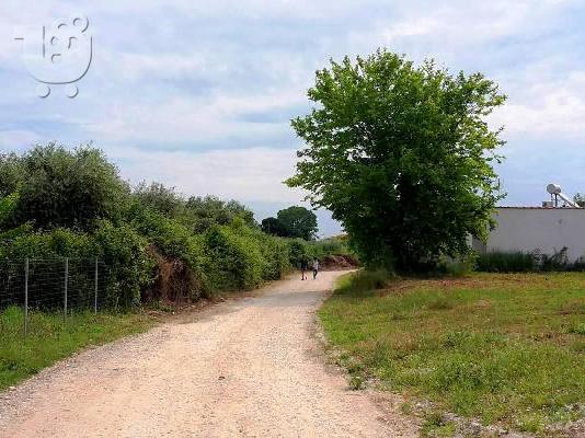 Πώληση οικοπέδου στην Σκάλα Ποταμιάς θάσου